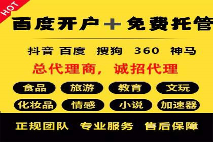 SEM托管公司案例：优化与增长